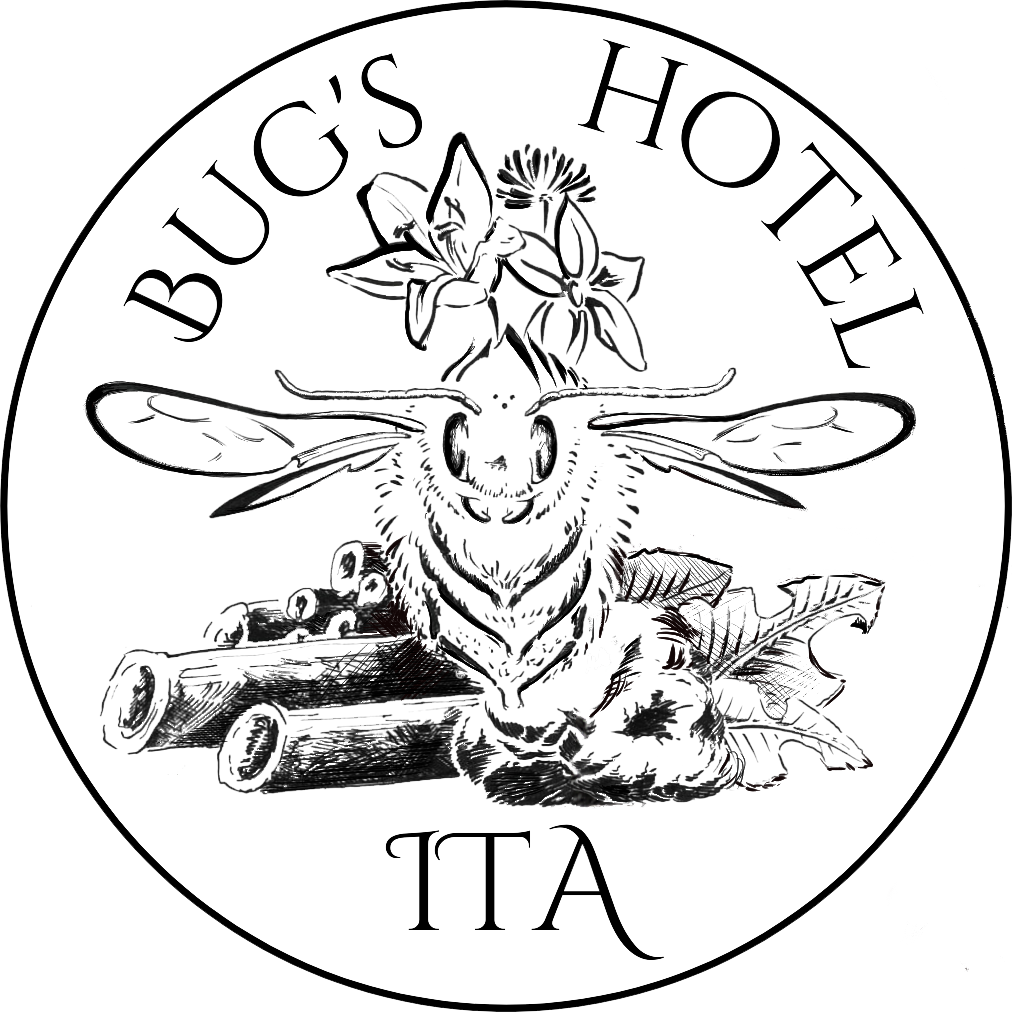 Bug's Hotel ITA Logo